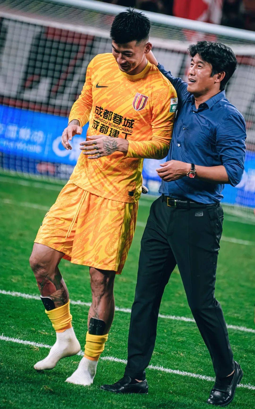 这一成就的 这一成就的